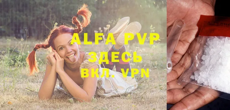 Alpha PVP СК КРИС  Камешково 